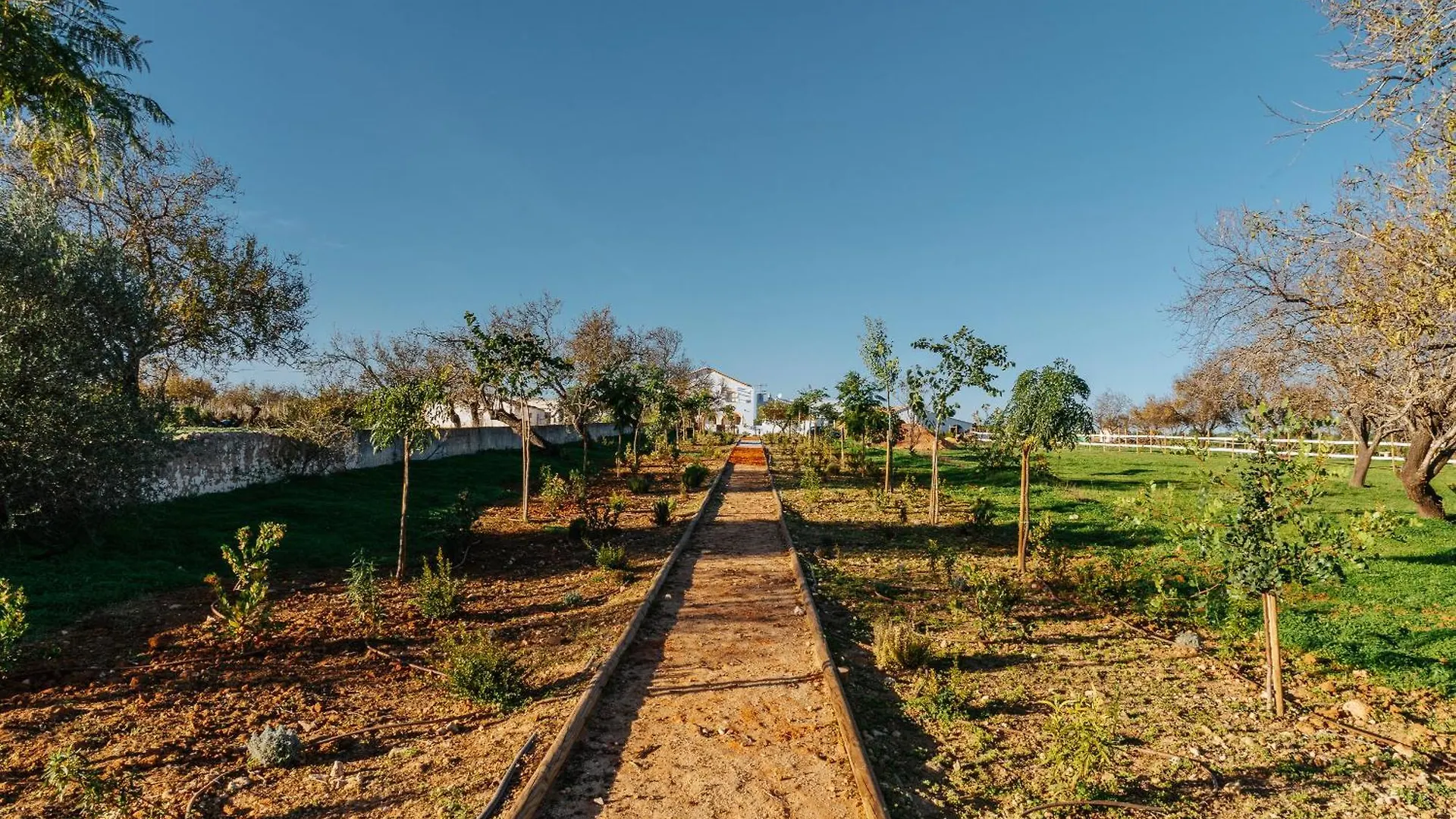 Ria Endless South By Gt House Villa Cabanas De Tavira Holiday home