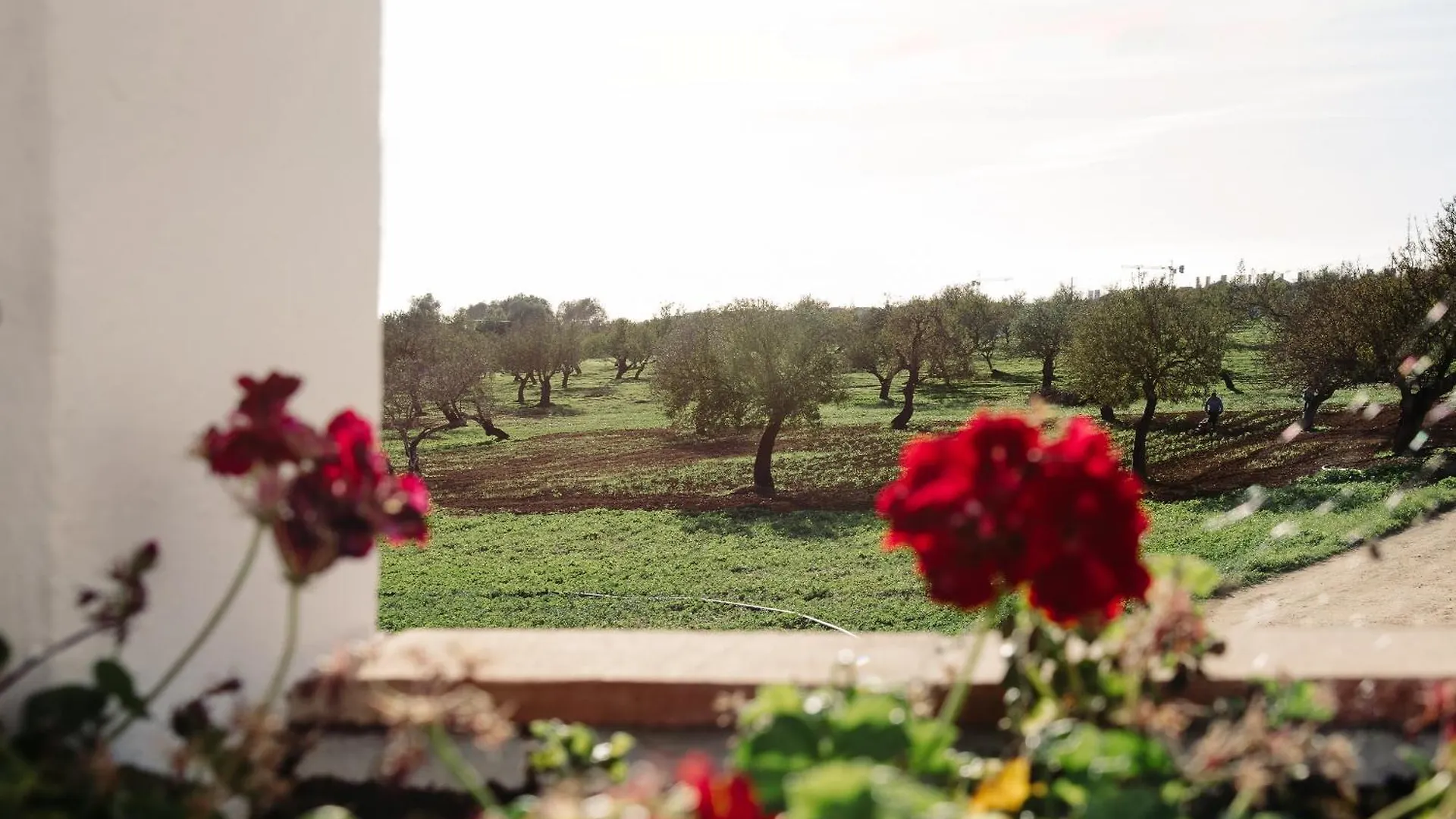 Holiday home Ria Endless South By Gt House Villa Cabanas De Tavira Portugal